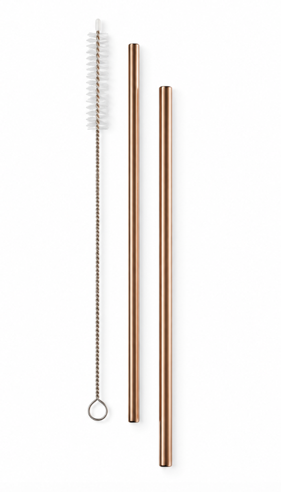 Stainless Steel Straw Set